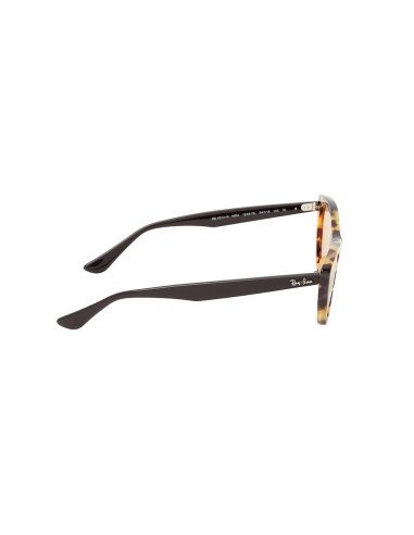 Ray Ban Rb4314n 1248/3L Nina Flat lenses Cafe Carey