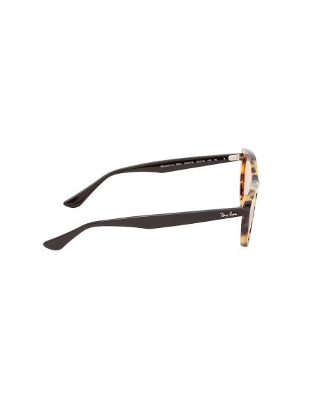 Ray Ban Rb4314n 1248/3L Nina Flat lenses Cafe Carey