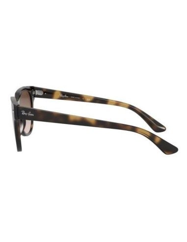 Ray Ban Rb4368n 710/13 Meteor Blaze Carey Cafe Degradado | Sunnies.uno
