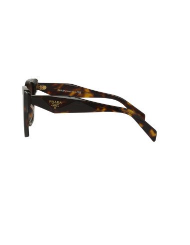 Prada SPR 19Z 2AU-6S1 Square Shape Carey Cafe Degradado