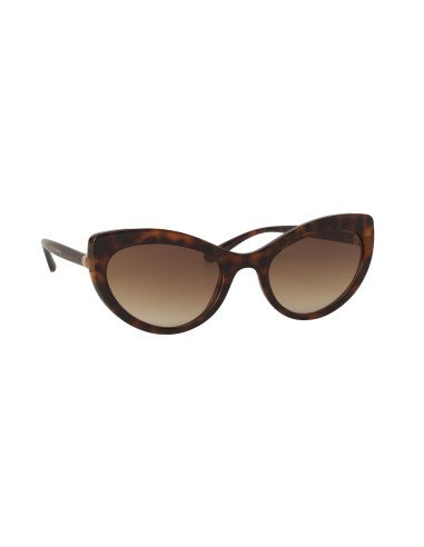 Dolce & Gabbana DG4385 502/13 Square Shape Carey Cafe Degradado