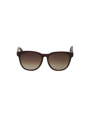 Gucci Gg0232sk 003 Square Carey Havana Degradado Original | Sunnies...