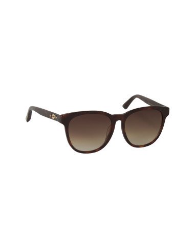 Gucci Gg0232sk 003 Square Carey Havana Degradado Original | Sunnies...
