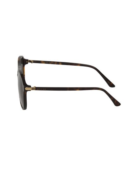 Gucci Gg0016s 007 Square Shape Carey Negro Acetato Original | Sunni...