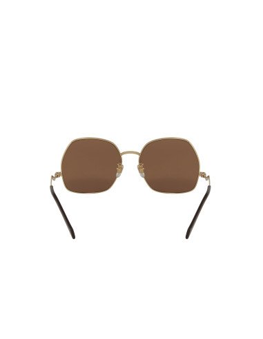 Gucci GG0972S 002 Square Shape Cafe Dorado