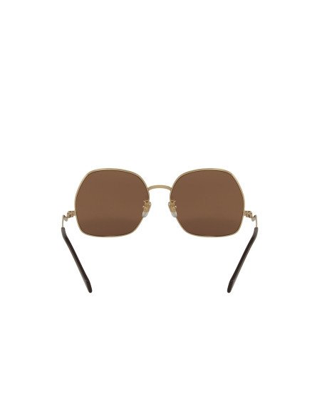 Gucci GG0972S 002 Square Shape Cafe Dorado