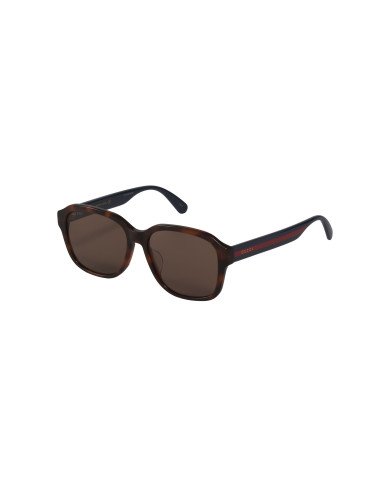 Gucci GG0929SA 002 Square Shape Havana Blue Brown