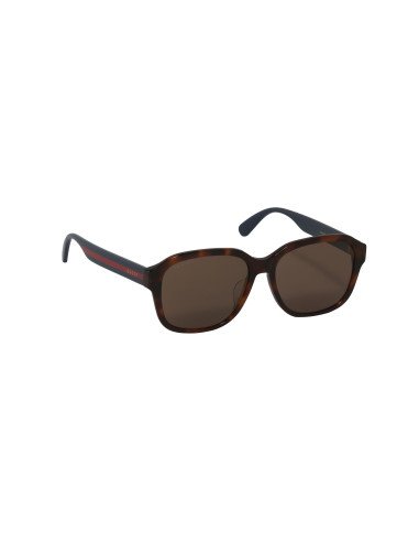 Gucci GG0929SA 002 Square Shape Havana Blue Brown