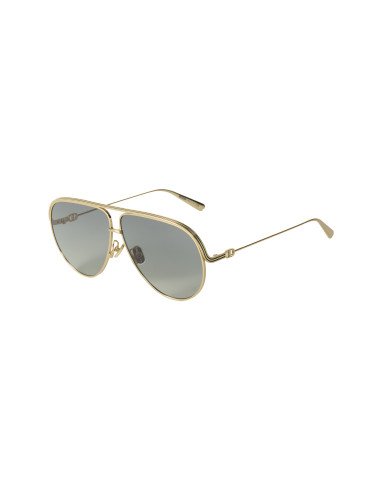 copy of Dior EVERDIOR A1U B0A1 Dorado Gris Con accesorios