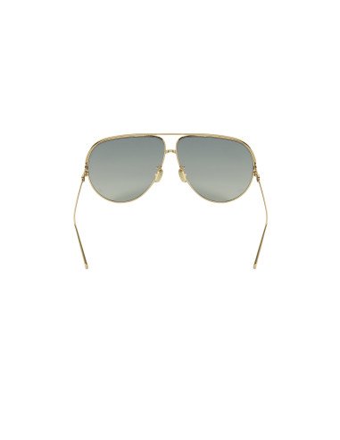 copy of Dior EVERDIOR A1U B0A1 Dorado Gris Con accesorios