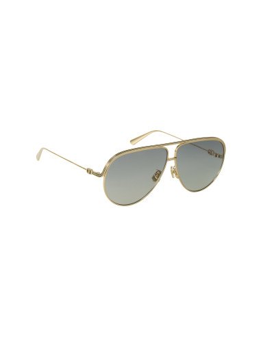 copy of Dior EVERDIOR A1U B0A1 Dorado Gris Con accesorios