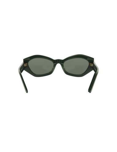 Dior SIGNATURE B1U 55C0 Square Shape Green Butterfly