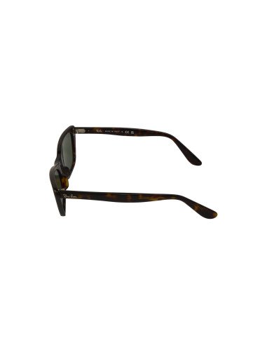 Ray Ban RB2299 902/31 Lady Burbank Carey G-15