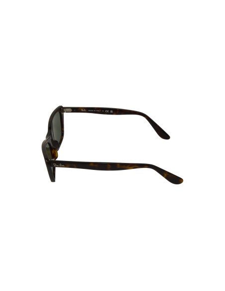 Ray Ban RB2299 902/31 Lady Burbank Carey G-15