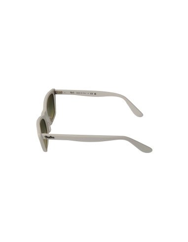 Ray Ban rb2299 975/BH Lady Burbank Blanco Verde