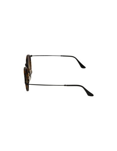 Ray Ban Rb2447 1157/9u Round Fleck Plata Espejo Carey | Sunnies.uno