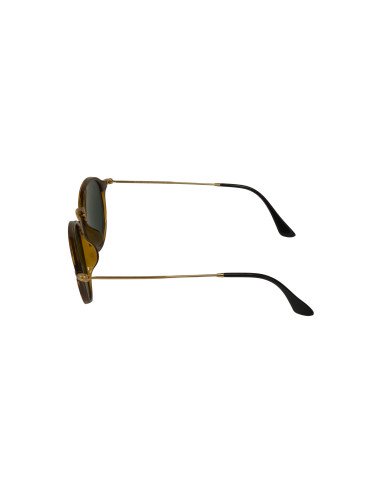 Ray Ban Rb2447 1160/z2 Round Fleck Cafe Carey Rosa espejo | Sunnies...