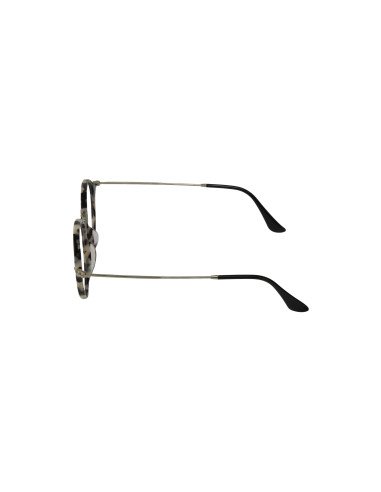 Ray Ban Rb2447V 5832 Oftalmico Round Fleck Carey Beige Plata