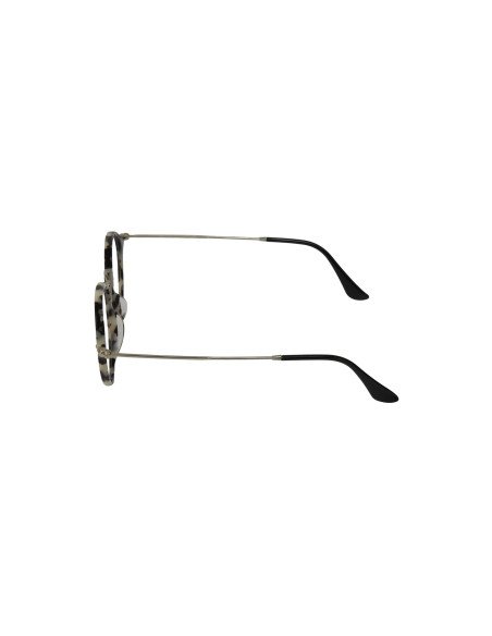 Ray Ban Rb2447V 5832 Oftalmico Round Fleck Carey Beige Plata