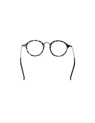 Ray Ban Rb2447V 5832 Oftalmico Round Fleck Carey Beige Plata