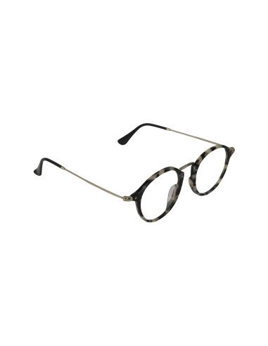 Ray Ban Rb2447V 5832 Oftalmico Round Fleck Carey Beige Plata
