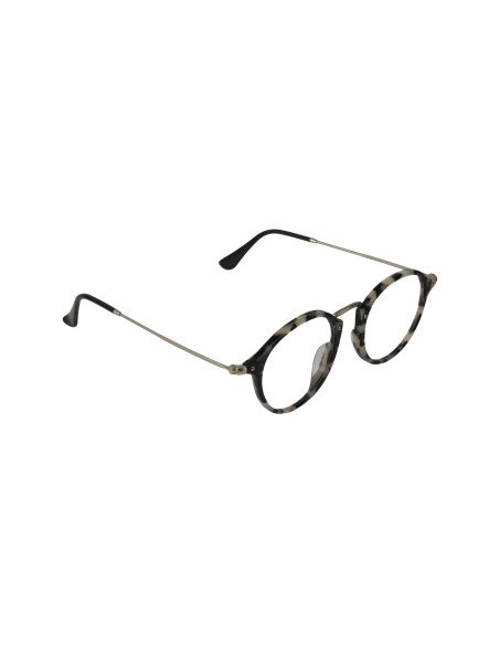 Ray Ban Rb2447V 5832 Oftalmico Round Fleck Carey Beige Plata