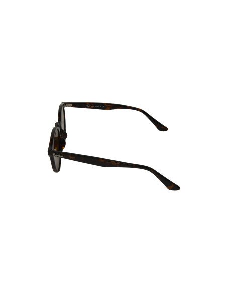 Ray Ban Rb2180 710/13 Round Metal Acetato Carey Cafe B-15 Original ...