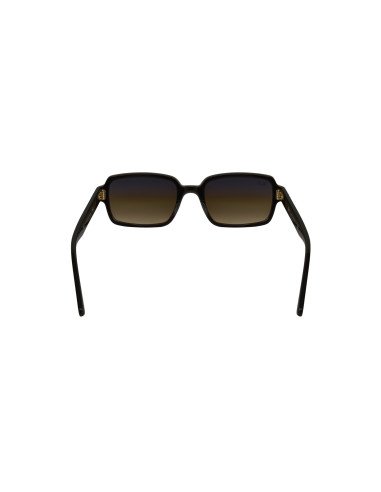 Ray ban RB2189 954/51 Benji Cafe Degradado Carey Clasico
