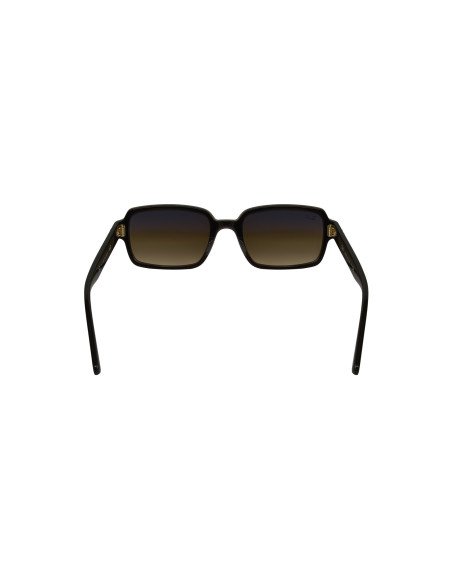 Ray ban RB2189 954/51 Benji Cafe Degradado Carey Clasico
