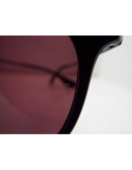 Ray Ban Rb4171 601/5Q Erika Ciruela Negro polarizado | Sunnies.uno
