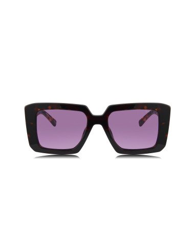 Prada SPR 23YS 2AU-05Q Square Shape Brown Havana Violet