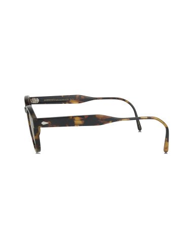 Moscot Lemtosh Sport Tortoise Polarized