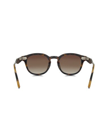 Moscot Lemtosh Sport Tortoise Polarized