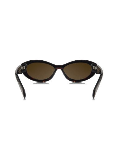 Sunnies Macarena MA01 14L-09Z Oval Shape Tortoise