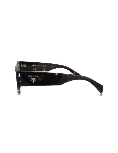 Prada SPR A01S 15O-10C Square Shape Havana Black Yellow