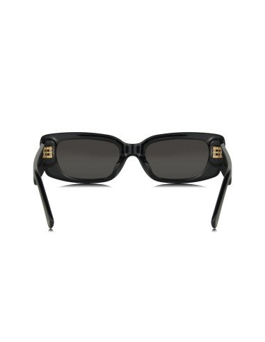 Louis Vuitton Z2109W