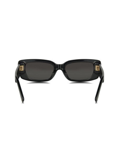 Louis Vuitton Z2109W