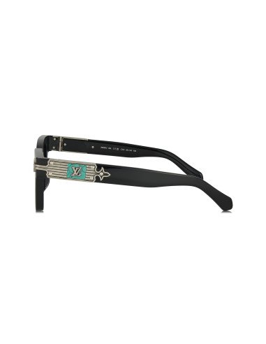 Louis Vuitton Z2529U 93L