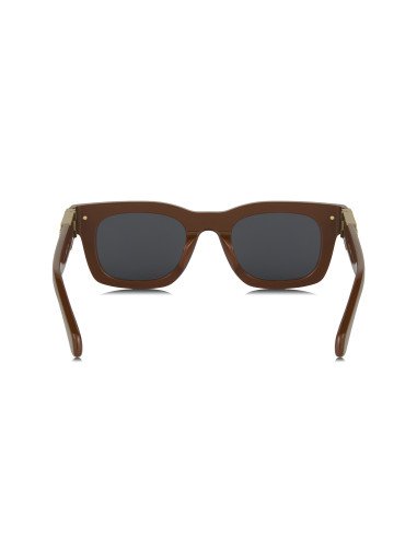Louis Vuitton Z2529U Brown