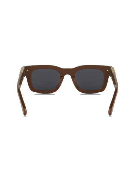 Louis Vuitton Z2529U Brown