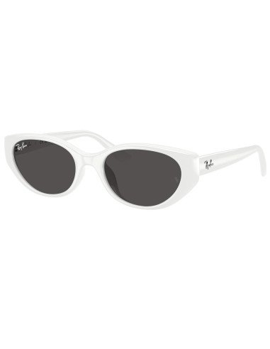 Ray-Ban RB4457D 677287 | Sunnies México