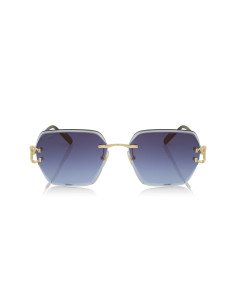 Cartier CT0466S 001 2