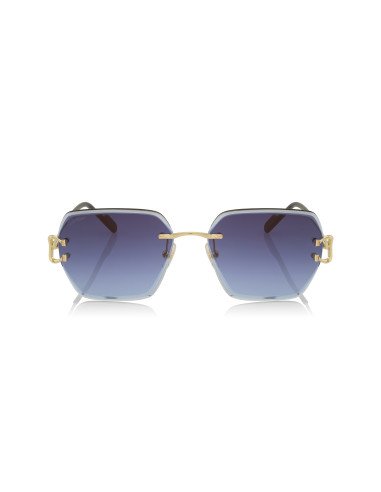 Cartier CT0466S 001