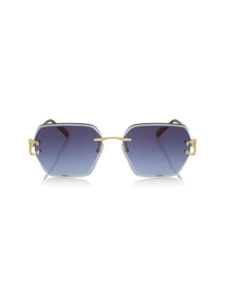 Cartier CT0466S 001