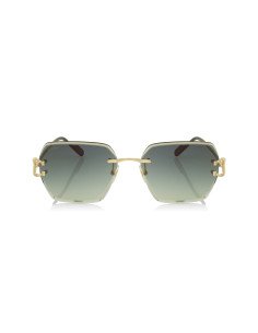 Cartier CT0466S 001 2
