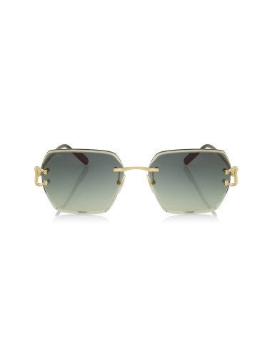 Cartier CT0466S 001
