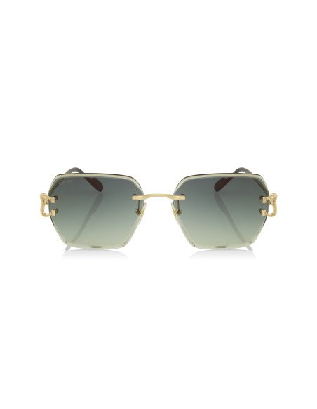 Cartier CT0466S 001