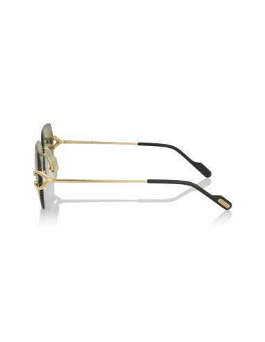Cartier CT0466S 001