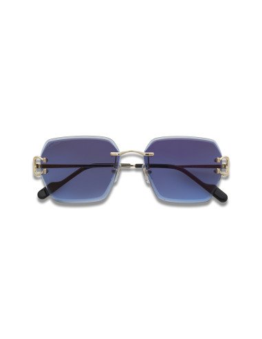 Cartier CT0466S 001