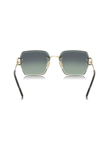 Cartier CT0466S 001